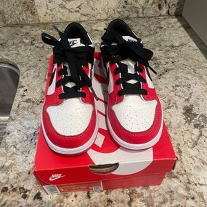 Nike dunk low kids